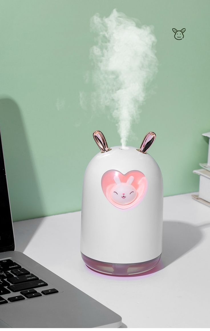 Où placer un déshumidificateur dans une maison ?