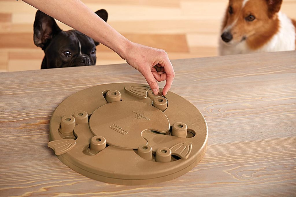 The Best Toys and Treats for Your Dog