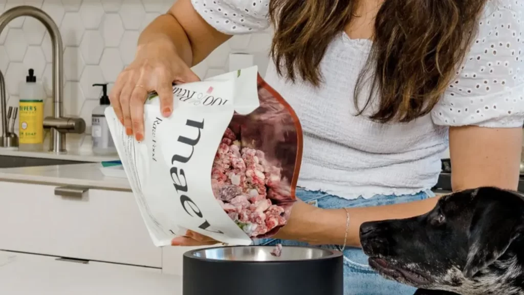 The role of supplements in your dog's diet