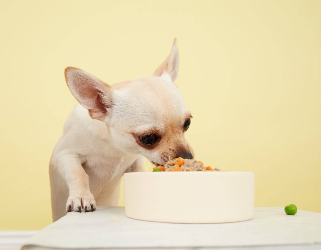 How to calculate your dog's daily caloric intake？