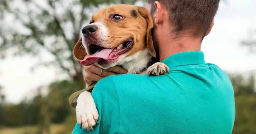 The Best Ways to Bond with Your Dog