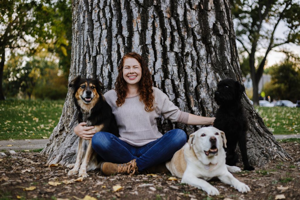 The Benefits of Hiring a Professional Dog Trainer