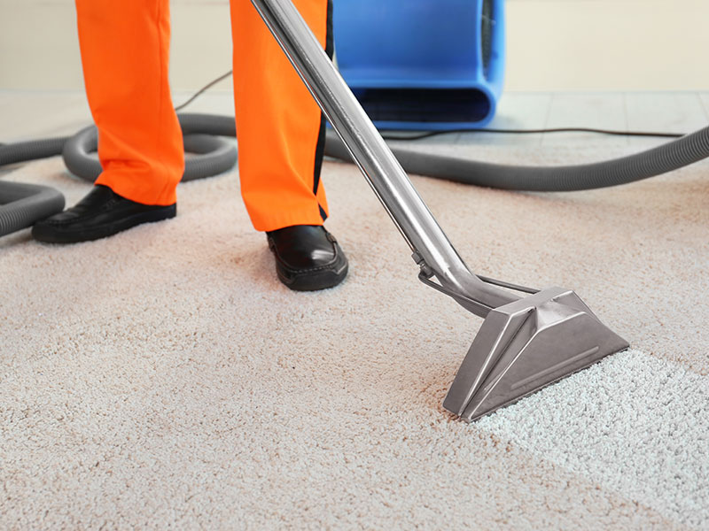 Why Low-Pile Kids Rugs are the Best for Easy Cleaning