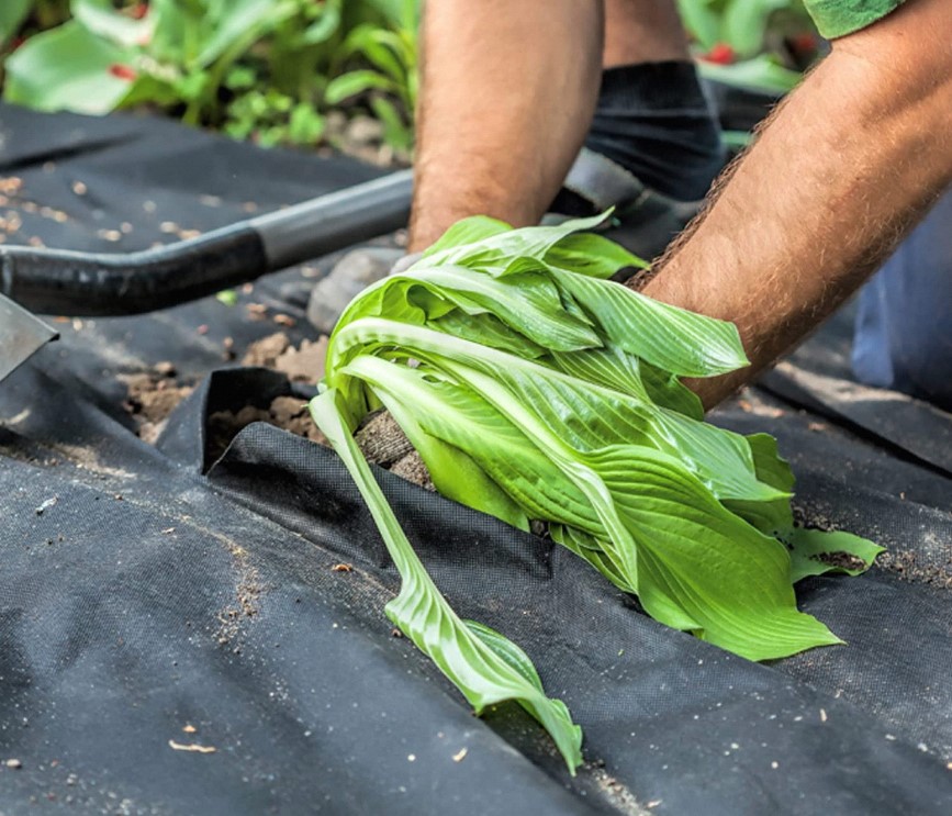 Comment utiliser un géotextile pour renforcer les sols ?