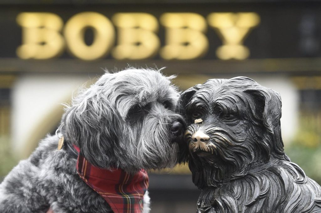 The story of Greyfriars Bobby