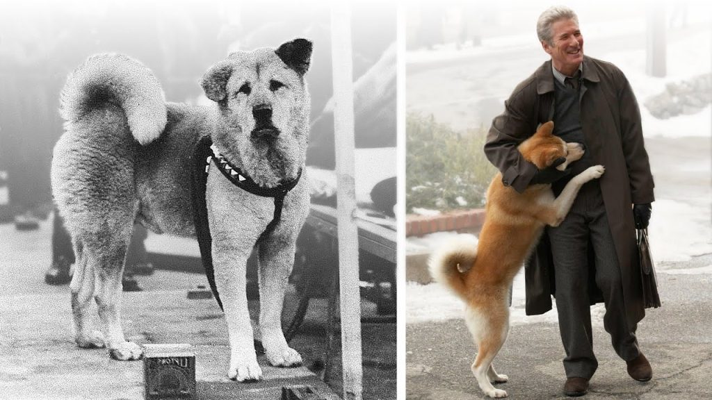 The story of Hachiko