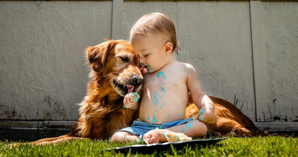 How to Teach Children to Be Gentle and Kind with Dogs?