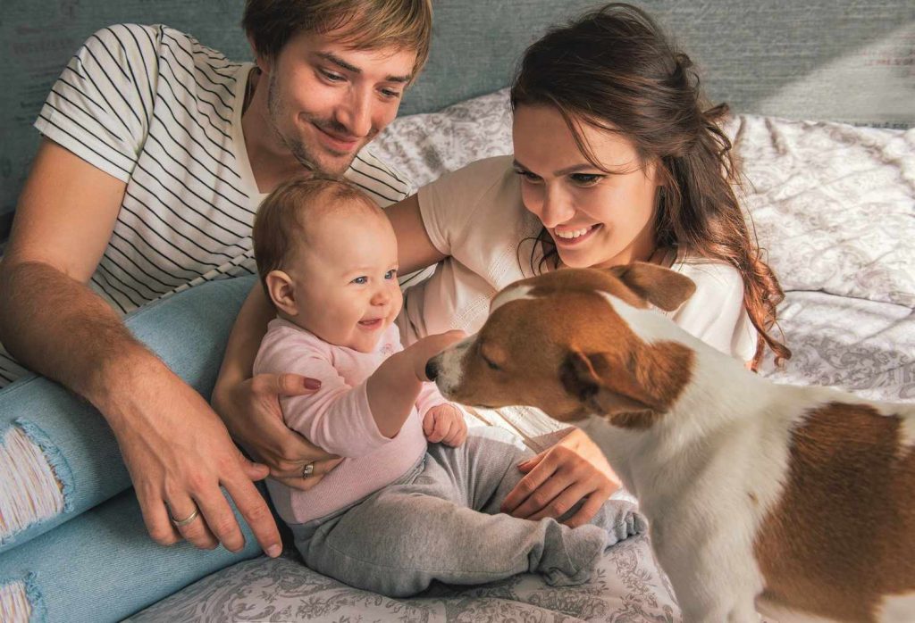 How to Teach Children to Be Gentle and Kind with Dogs?