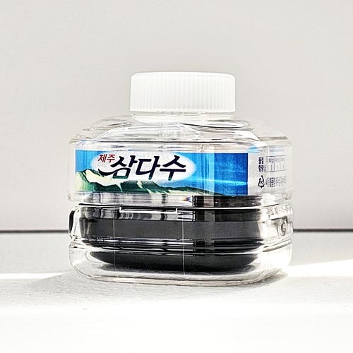 버즈 케이스를 이용한 이어폰 보호법