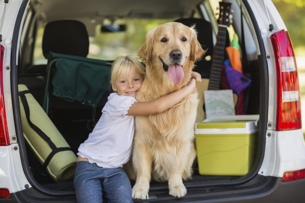 How to train your dog to be comfortable with children?