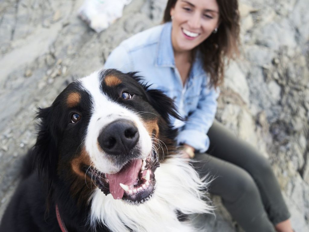 Choosing the Right Dog Breed for Older Adults