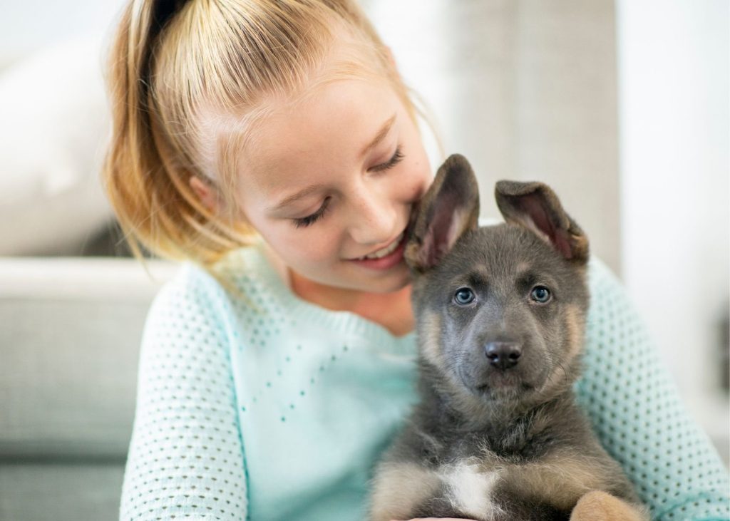 How to train your dog to be comfortable with children?