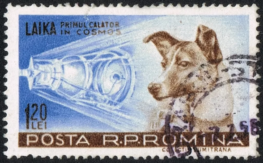 The story of Laika