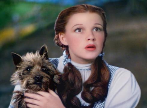The story of Toto