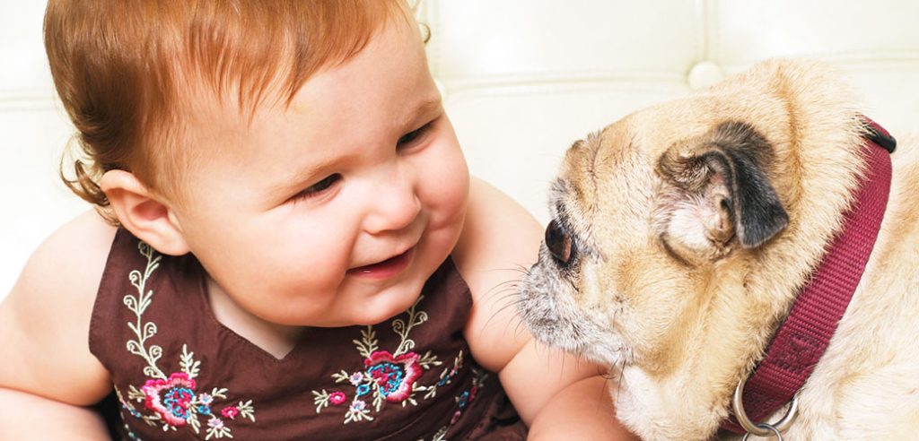 How Dogs Help Develop Social Skills in Children?