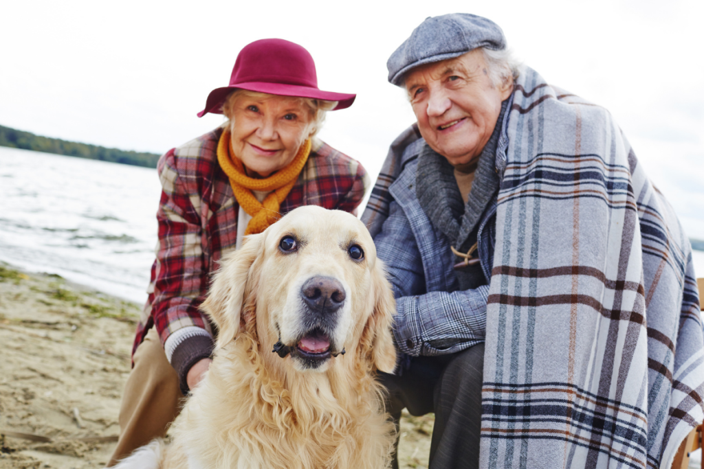 The Benefits of Companion Dogs for the Elderly