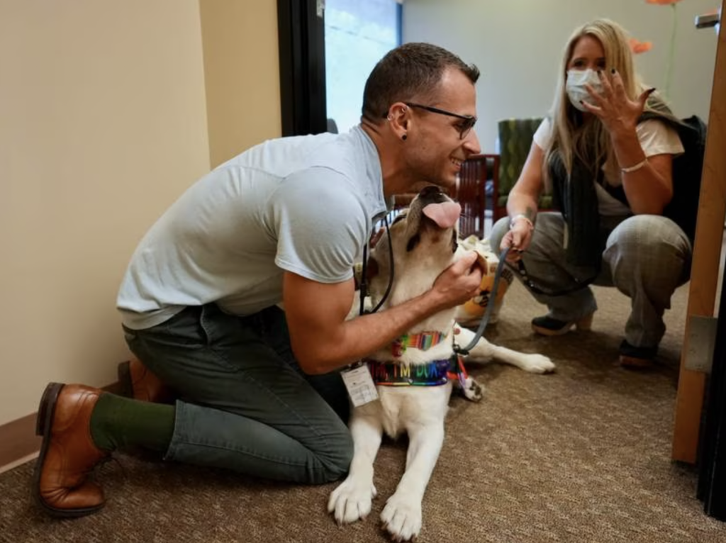 A Heroic Labrador Retriever Bringing Healing and Hope after 9/11