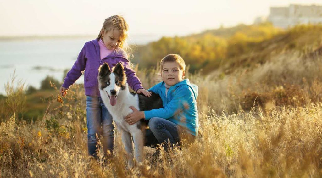 How Dogs Help Develop Social Skills in Children?