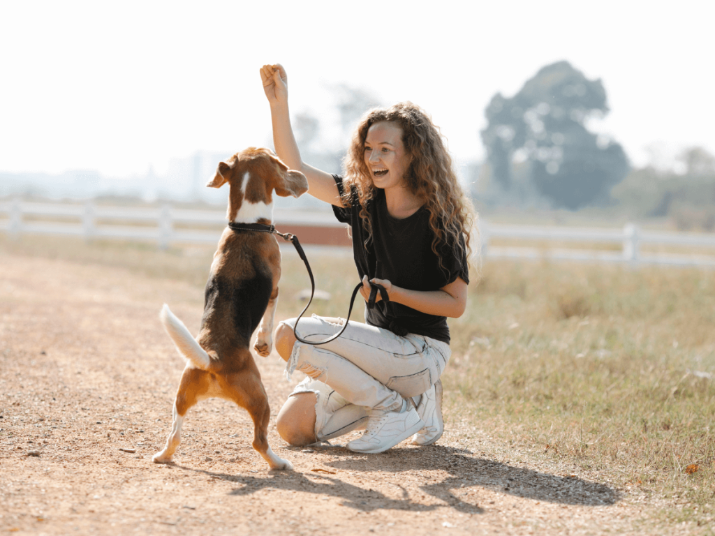 The importance of positive reinforcement in dog training
