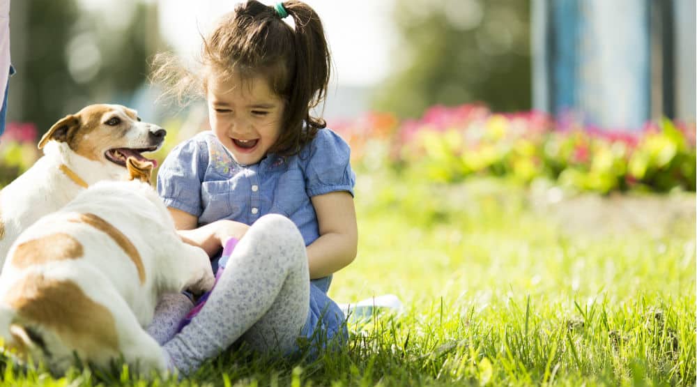 The Importance of Dog Training in Creating a Safe Environment for Children