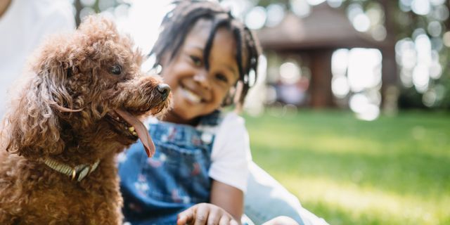 The Importance of Dog Training in Creating a Safe Environment for Children