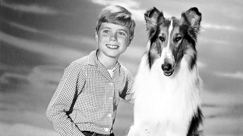 The story of Lassie
