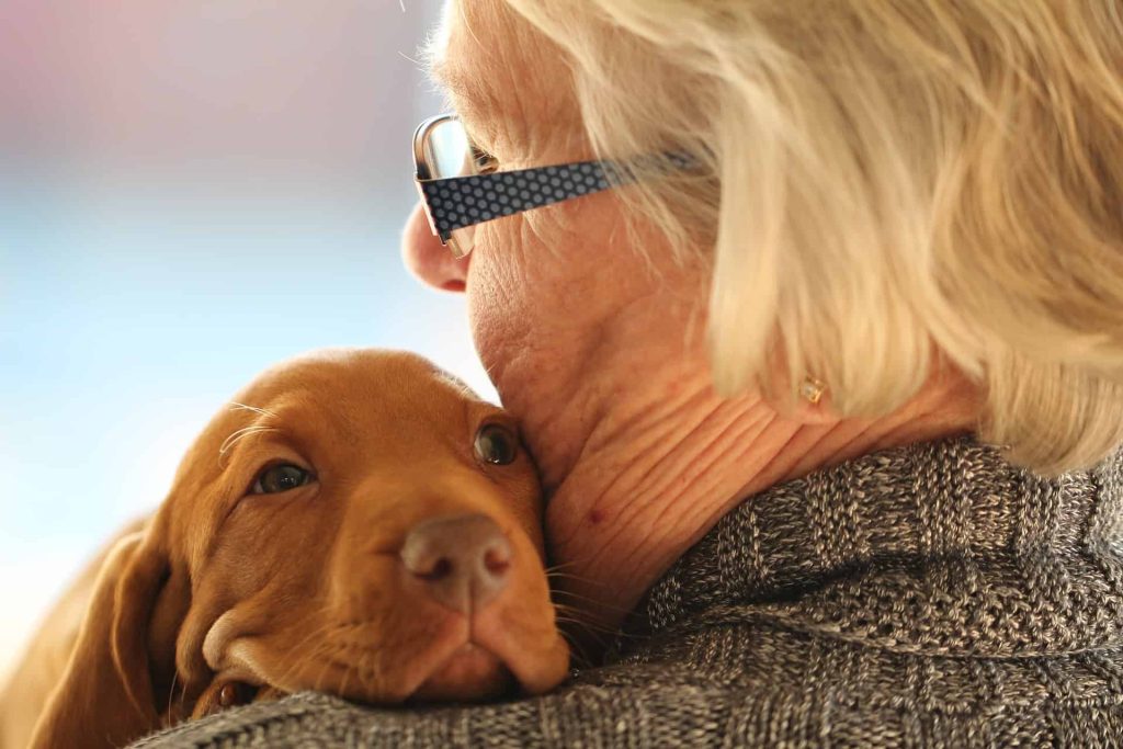 The Benefits of Companion Dogs for the Elderly