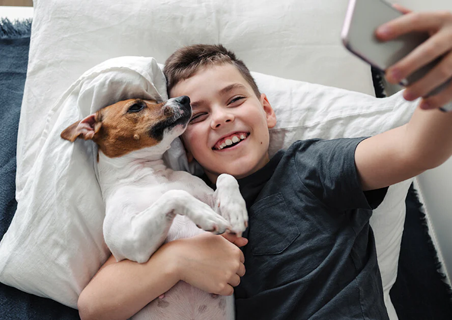 Common Challenges and Solutions for Families with Dogs and Children