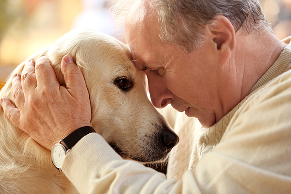 The Benefits of Companion Dogs for the Elderly