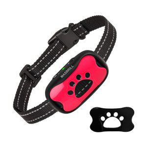 Quelle est la durée de vie moyenne d’un collier anti-aboiement ?