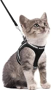 Les harnais pour chat et les chats anxieux ou stressés