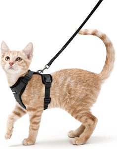 Comment entretenir et nettoyer votre harnais pour chat