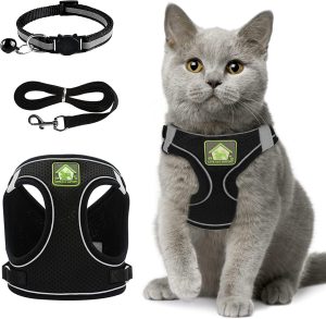 Les harnais pour chat et la prévention des comportements