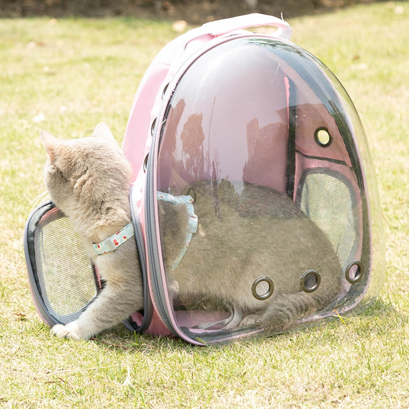 Cat Carriers for Outdoor Festivals: Tips and Tricks