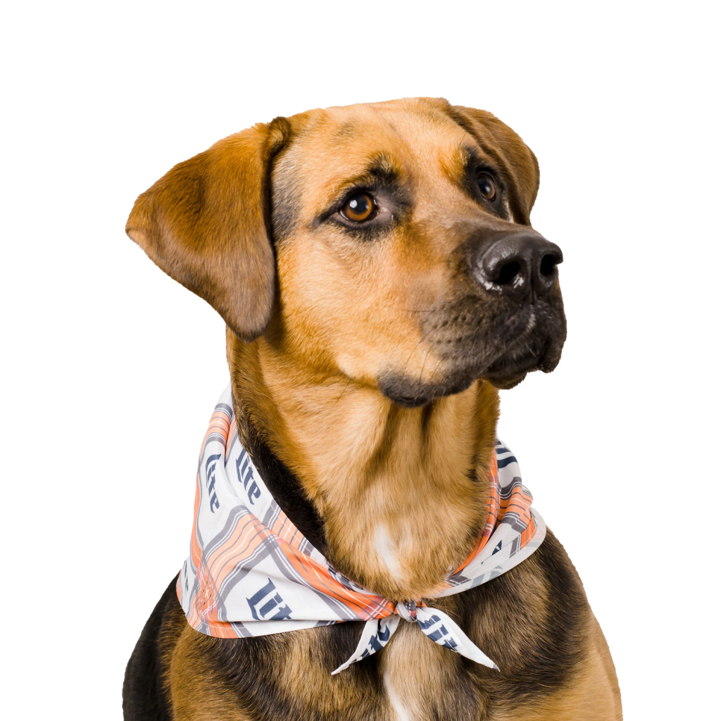 A Guide to Choosing the Right Size Dog Bandana for Your Pet