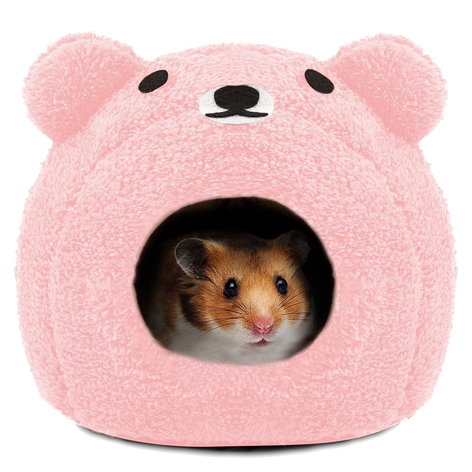 Teddy Bear Hamsters