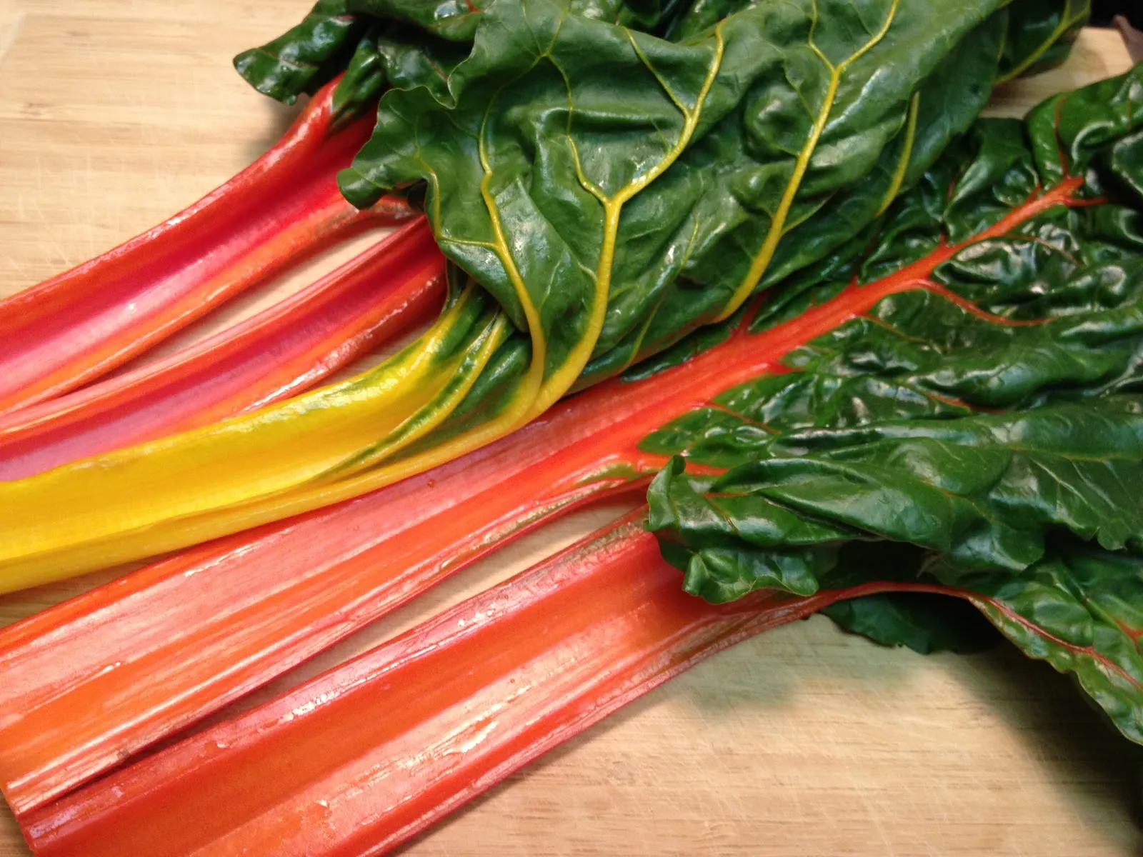 Can Dogs Eat Swiss Chard?