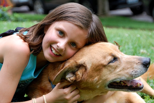 Is Lavender Safe for Dogs? Lavender Essential Oil