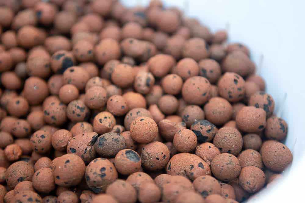 How to Use LECA for Plants ?