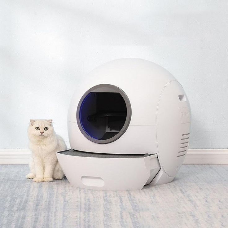 La litière automatique pour animaux : une solution pratique pour les propriétaires occupés