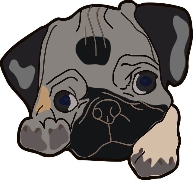 micro pug
