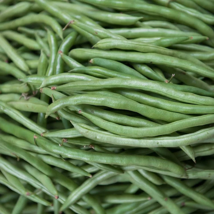 Can Dogs Eat Green Beans?
