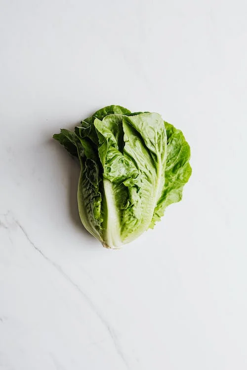 lettuce