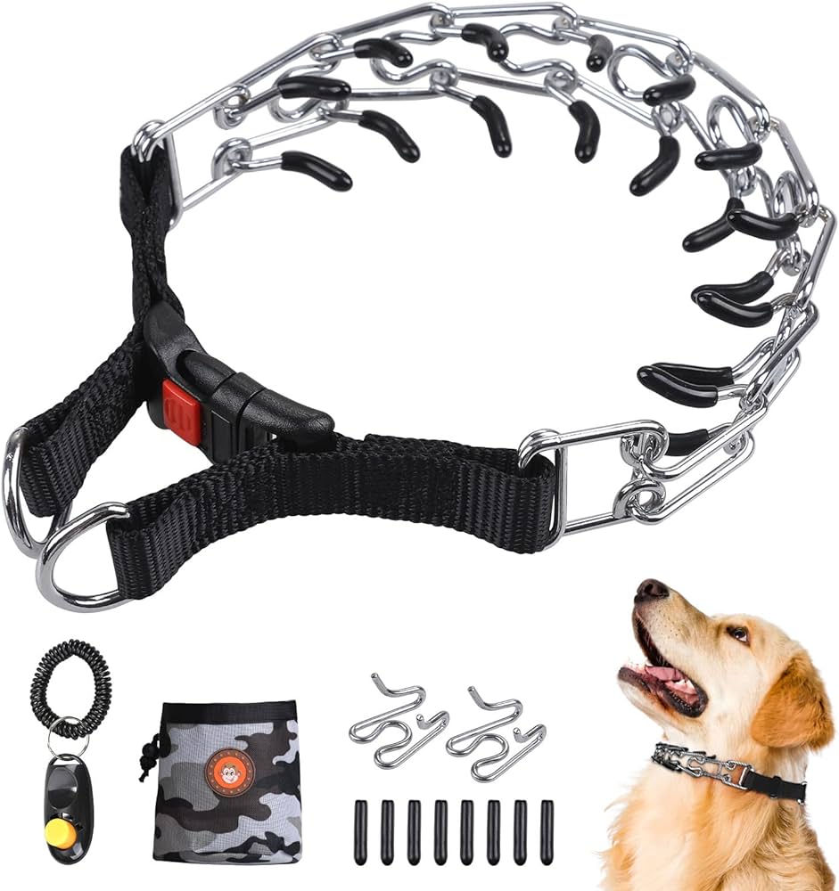 Choosing the Right Prong Collar for Your Dog