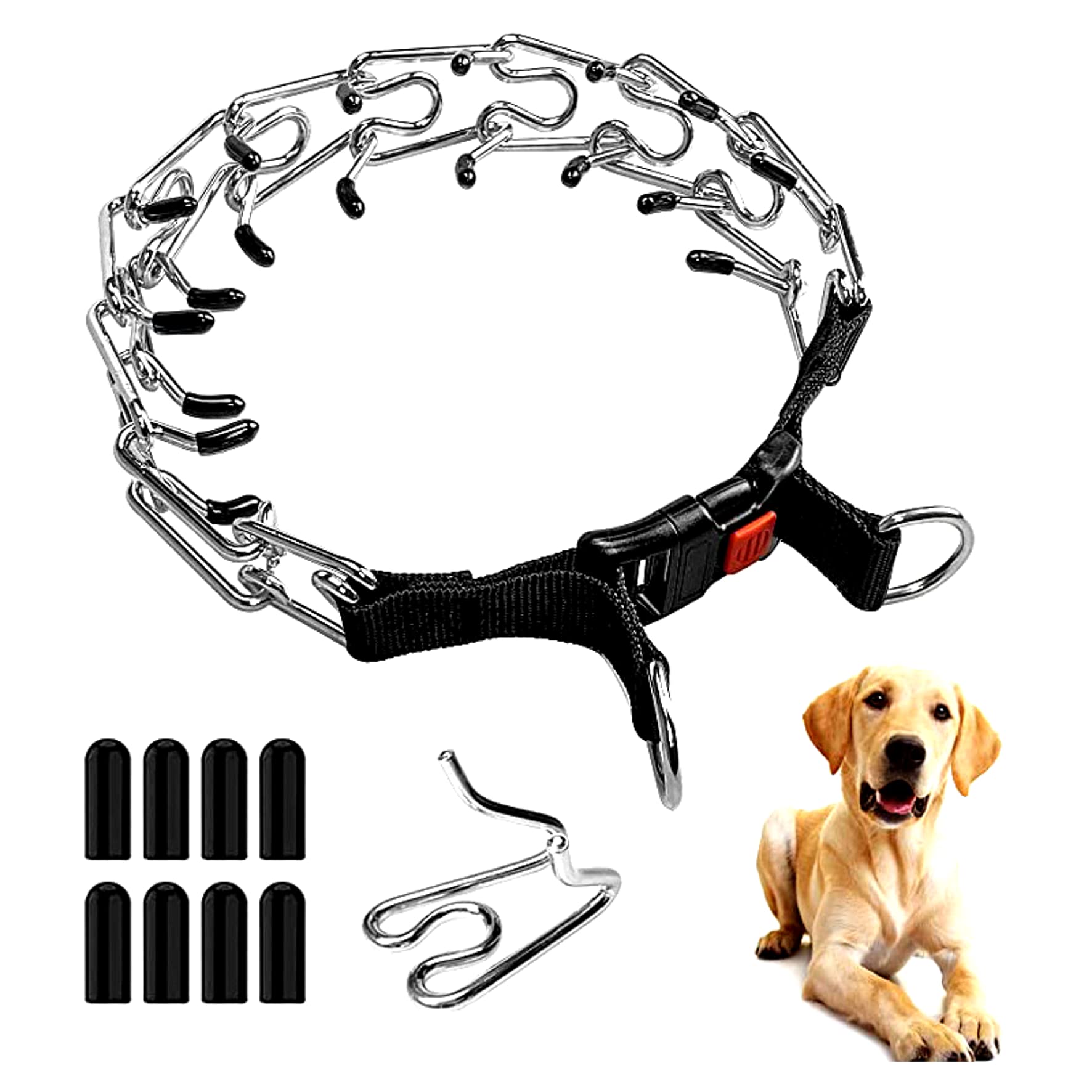 Using Prong Collars for Reactive Dogs: Managing Leash Reactivity