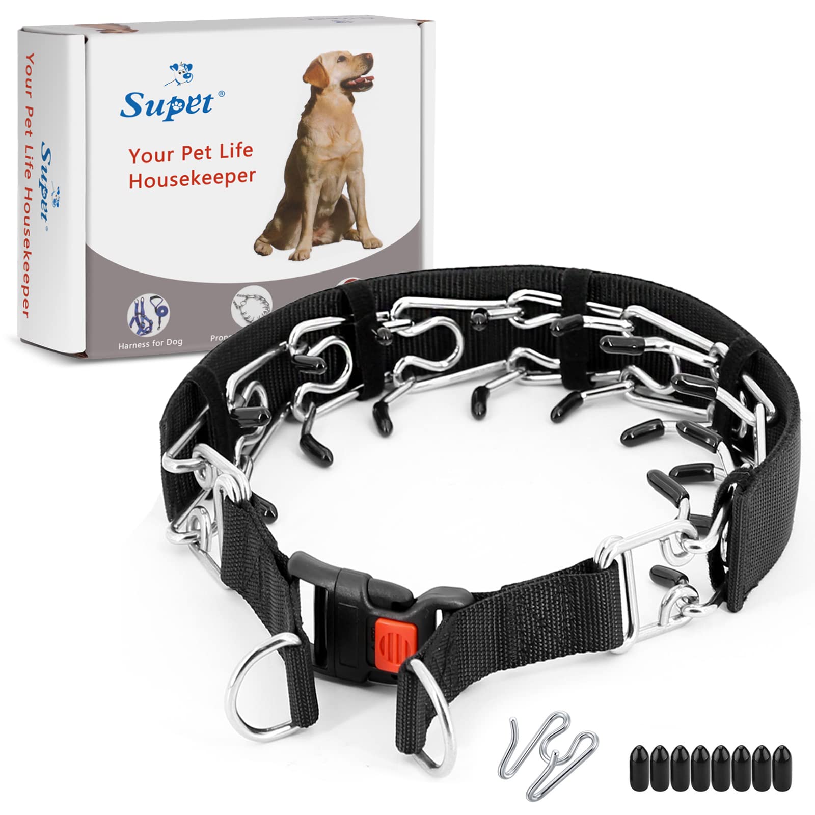How to Introduce and Properly Fit a Prong Collar for Your Dog
