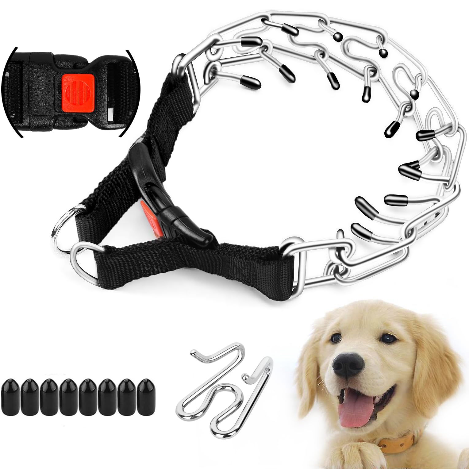 The Importance of Properly Sizing and Adjusting a Prong Collar