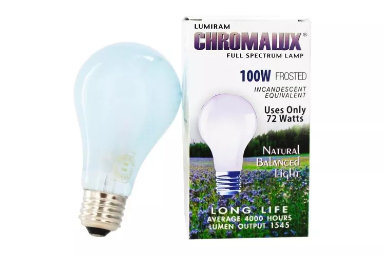 Les 4 meilleures ampoules pour fournir une lumière vive