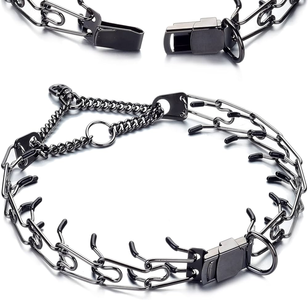 Tips for Selecting a High-Quality and Safe Prong Collar for Your Dog