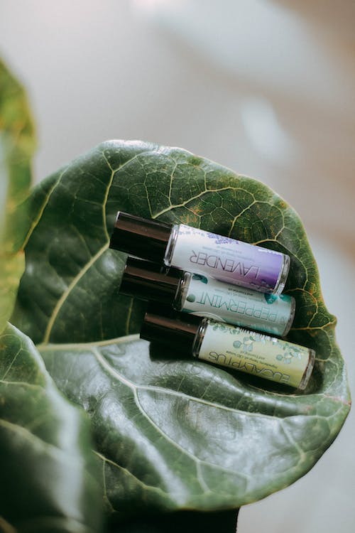 Is Lavender Essential Oil Safe for Dogs?